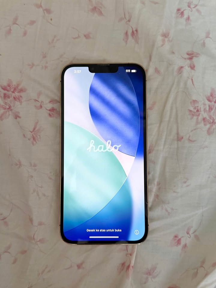 Used iPhone 13 Pro Max 256GB- Silver