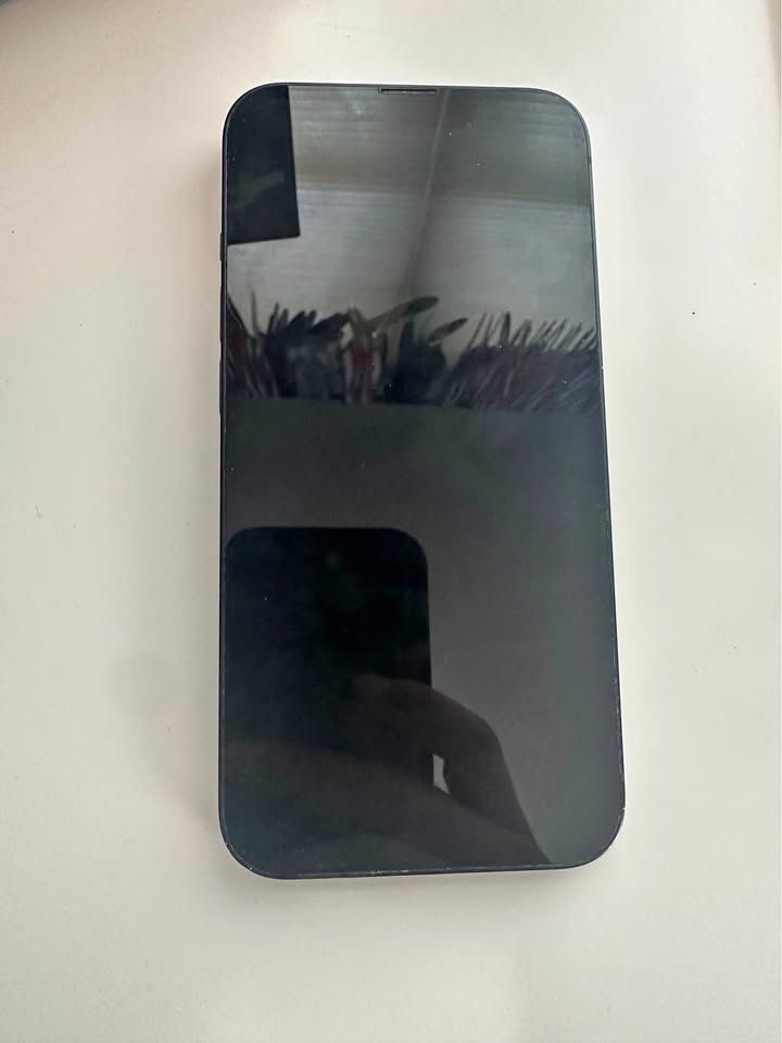 iPhone 13 black