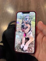 iPhone 14 Red 128